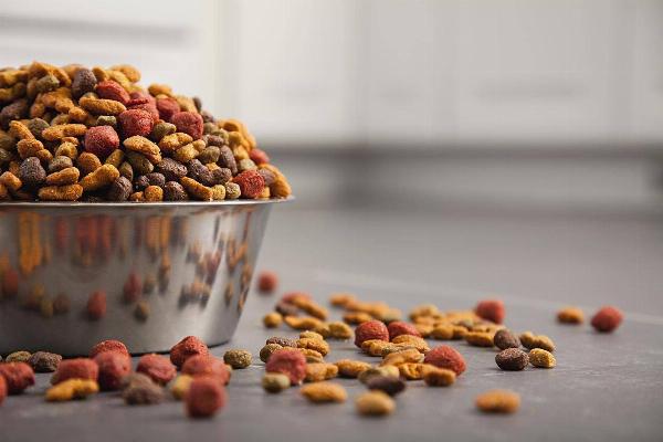 Dog Food Manufacturing Plant Setup Report 2024: Cost, Raw Material Requirements and Infrastructure