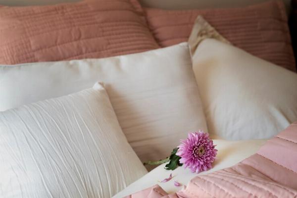 Beauty Pillowcases Market Analysis Size & Growth Overview and Insights