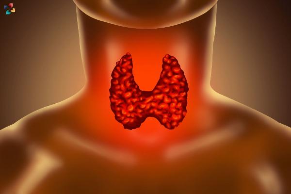 Enfermedades Endocrinas: Una Guía Completa