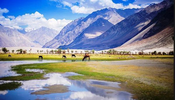 Exploring the Majestic Nubra Valley: Leh to Nubra Valley Tour Packages