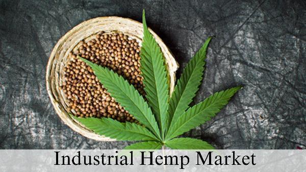 Industrial Hemp Market Share, Size and Growth Trends by 2032