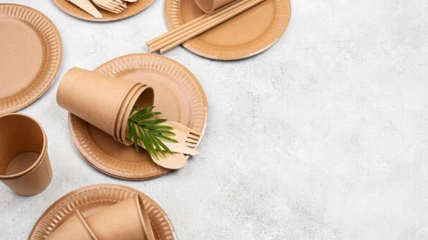 Biodegradable Tableware Market Analyzing Trends, Share, and Growth Prospects