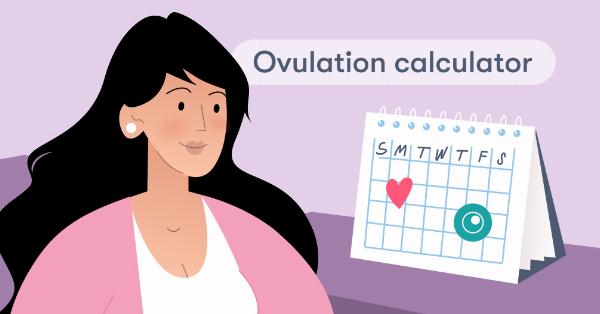 Track Your Cycle with Ease: How an Ovulation Calculator Can Help You Conceive