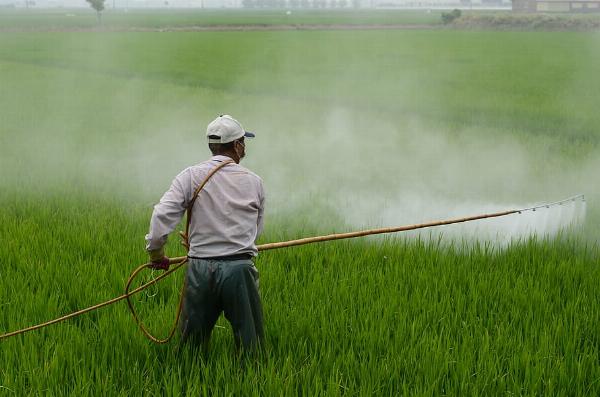 Comprehensive Analysis of the Global Foliar Spray Market