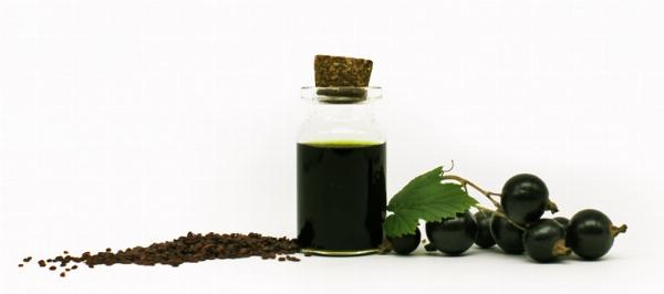 Blackcurrant Seed Oil Market Market Size, Trends, and Forecast Analysis