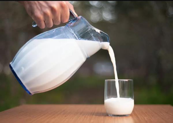 What Are the Health Benefits of Raw Jersey Milk?