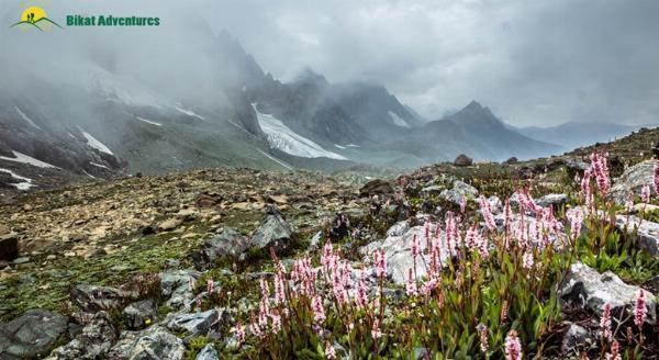 Exploring the Enchanting Beauty of Kashmir Great Lakes: A Paradise for Nature Lovers
