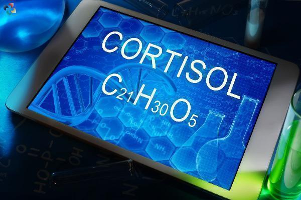 6 Fast Ways to Lower Cortisol Levels