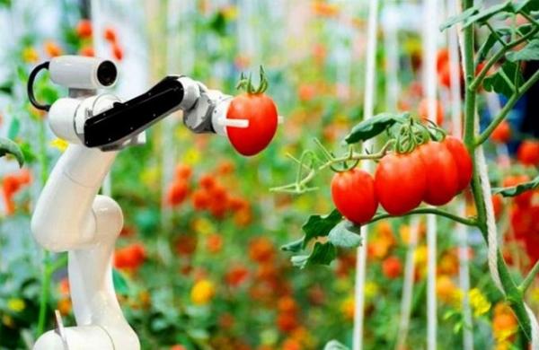 Agriculture Robots Market Size, Growth & Industry Analysis Report, 2023-2032