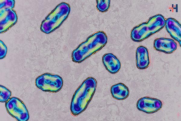 First Case of Human Plague Confirmed in Pueblo County, Colorado