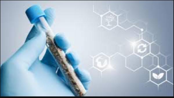 Biosimilar Market Size, Share, Growth Factors, Sales Analysis, Trends & Forecast 2024-2032
