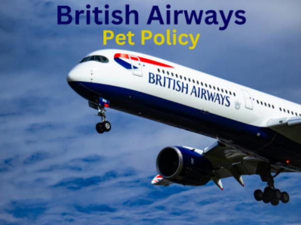 Can I Take My Pet on British Airways Flights?