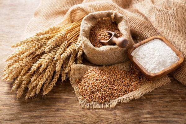 Cereal Flour Manufacturing Plant Project Report 2024: Manufacturing Process, Raw Materials, Cost and Revenue