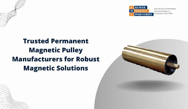 Trusted Permanent Magnetic Pulley Manufacturers for Robust Magnetic Solutions