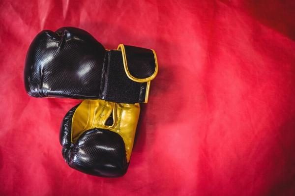 Boxing Gloves Market Insights USD 985.54 Million Valuation by 2029