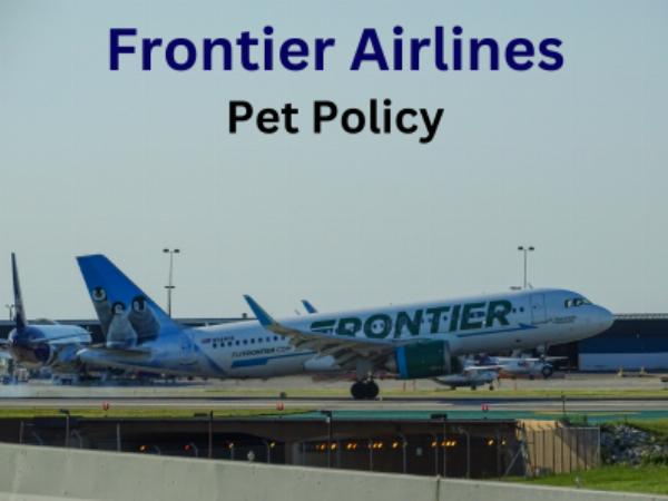 How Can I Travel with My Pet on Frontier Airlines?