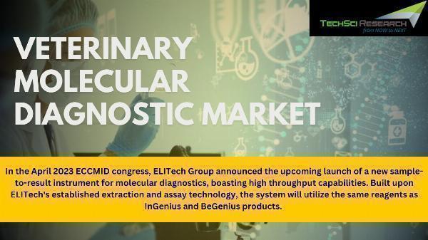 Veterinary Molecular Diagnostic Market: Unveiling Competition, Size, and Robust Growth Prospects Through 2029