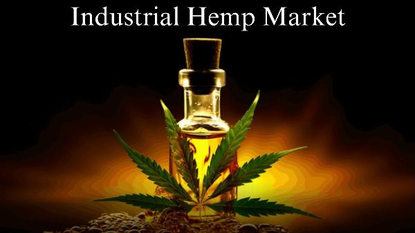 Industrial Hemp Market Size, Share, Growth Insights and Forecast to 2032
