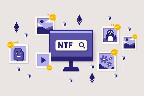 What Can You Learn from an Online NFT Course?