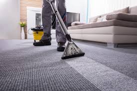 The Germ-Fighting Power of Regular Carpet Cleaning Services