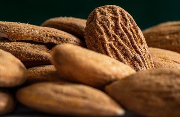 Almond Ingredients Market 2024: Trends and Insights