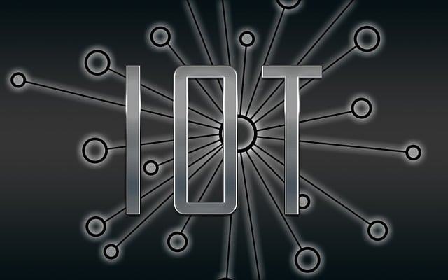 The IoT Security Market in 2024: Navigating the Digital Frontier