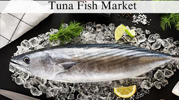 Tuna Fish Market Size, Growth Insights and Forecast to 2032