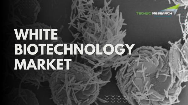 White Biotechnology Market: Dynamics, Key Players, and Industry Projections till 2029 by TechSci Research