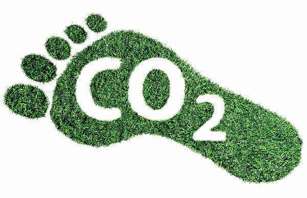Role of the Carbon Footprint Management Market Key Functions and Impact