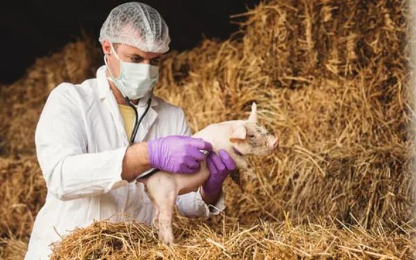 Animal Disinfectants Market 2023 Size, Dynamics & Forecast Report to 2032