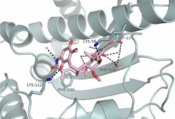 Tanespimycin Production Cost Analysis 2024, Price Trends, Capital Cost, and Raw Materials