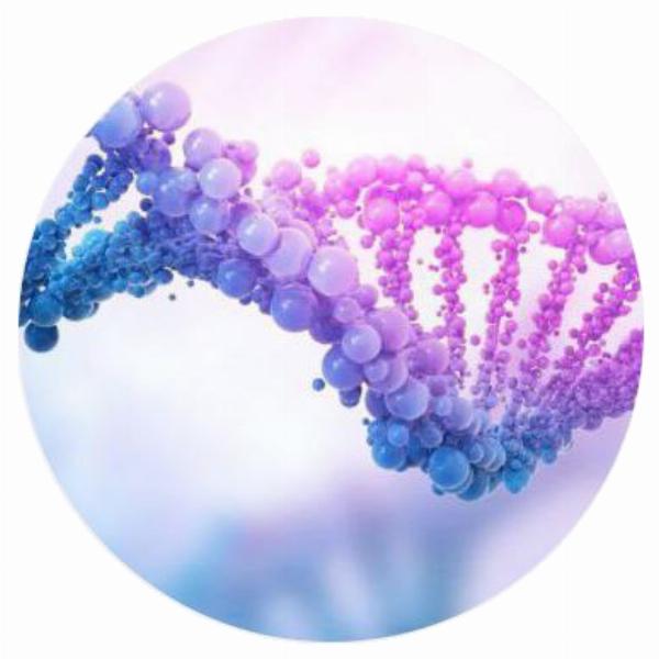 The Vital Role of IVD Testing in Detecting Foodborne Infections