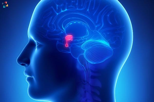 Nighttime Resistance Exercise May Enhance Sleep Duration, Study Reveals