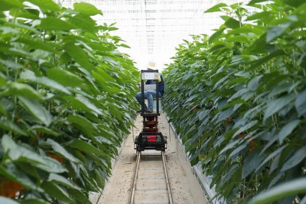 Farm Management Software Trends to Watch in 2024