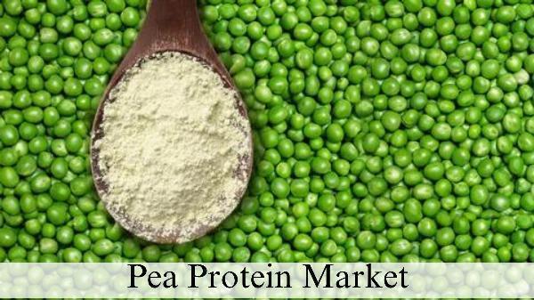 Pea Protein Market Size, Growth and Size Forecast Through 2032