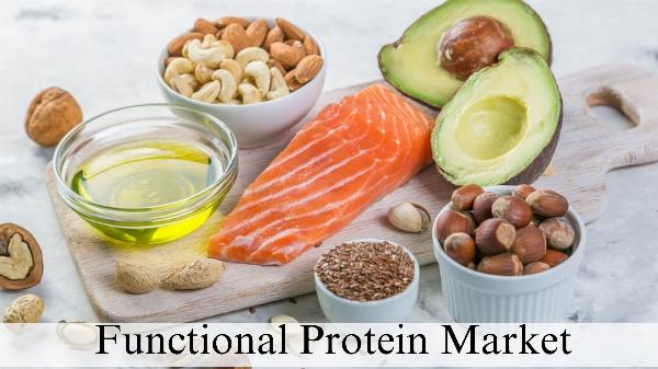 Functional Protein Market Size, Growth Analysis by 2032