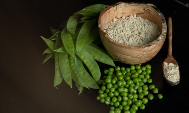 Pea Protein Market Share, Size, & Growth Analysis