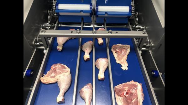 Innovative Uses of Open Top Meat Membrane Skinning Machines in Food Processing