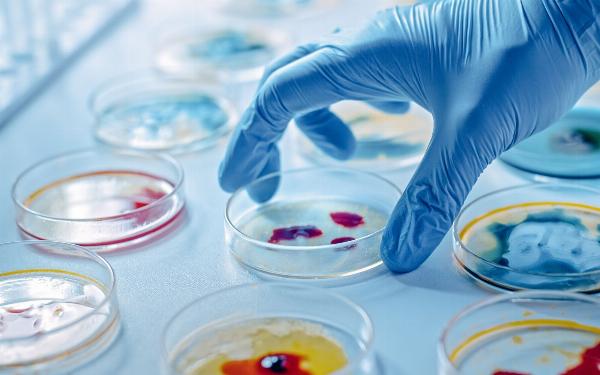 Microbiospoy Market: Key Future Trends 2024-2032