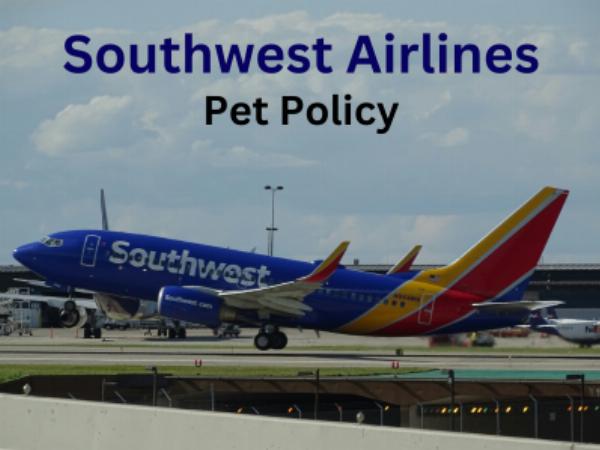 How Do I Book a Flight for My Pet with Southwest Airlines?