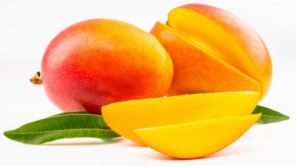Mango Processing Plant Project Report 2024: Machinery Requirements, Setup Details, Cost and Revenue