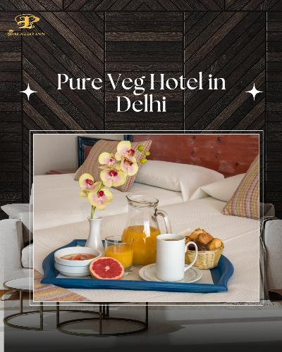 Pure Veg Hotel in Delhi