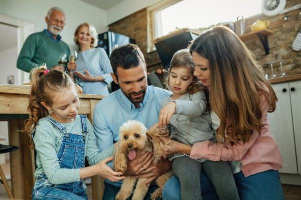 Florida Adoption Home Study for Single Parents