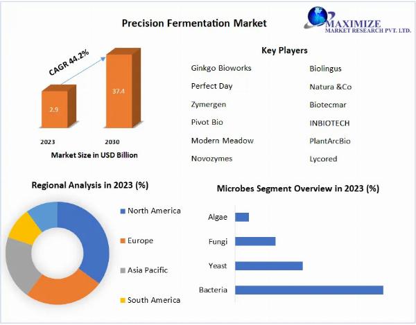 Precision Fermentation Market Qualitative Analysis of the Leading Players