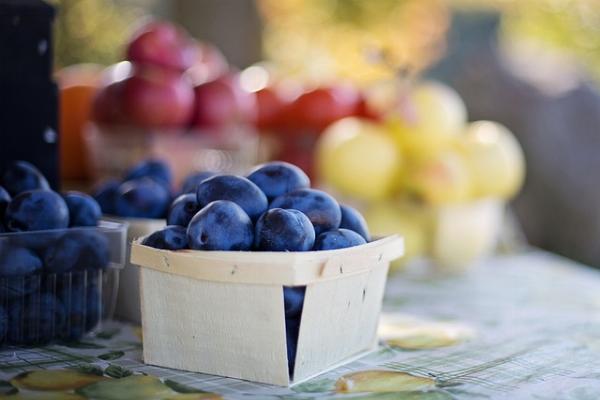 Germany Organic Food Market in 2024: Growth, Trends, and Insights