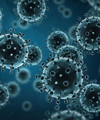 Vascular Endothelial Growth Factor (VEGF) Inhibitors Market With Manufacturing Process and CAGR Forecast by 2030