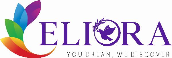 Eliora Pvt. Ltd. offers premier web design services in Nagpur.
