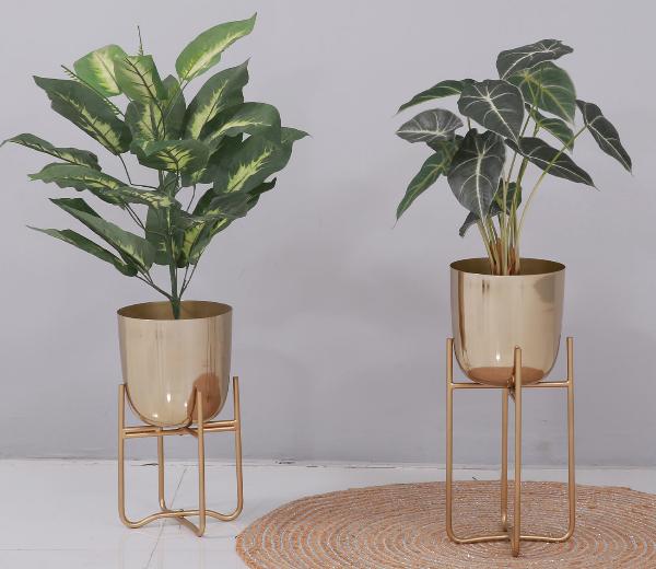 Creative Ways to Display Your Greenery: A Guide to Different Plant Stands