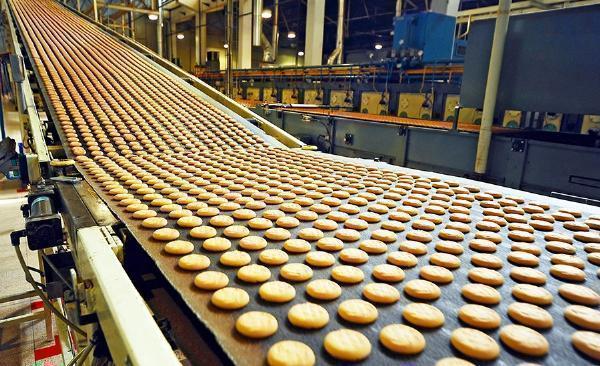 Food Processing Plant Setup Report 2024: Packaging, Cost and transportation Requirements