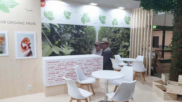 What Are the Costs of Building an Exhibition Booth in Dusseldorf?